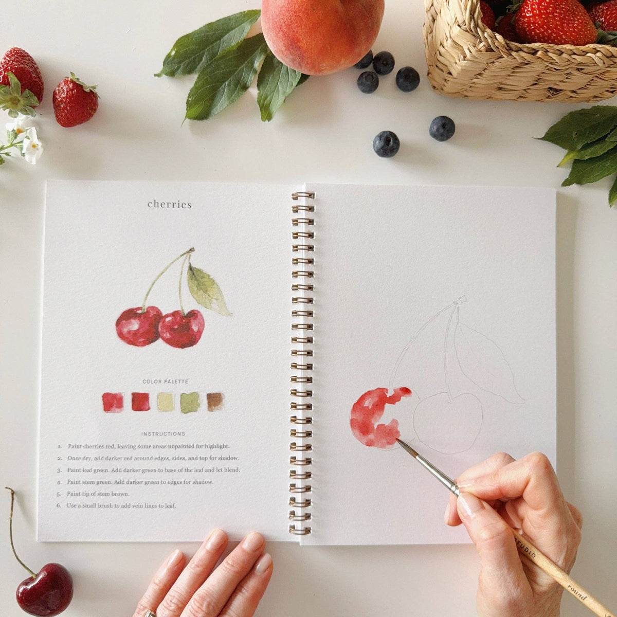 Cahier d'aquarelle fruits Emily lex studio