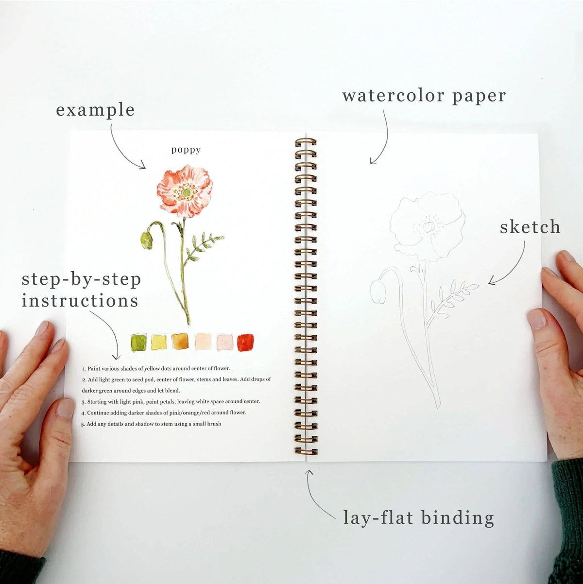 Cahier aquarelle fleurs Emily Lex Studio