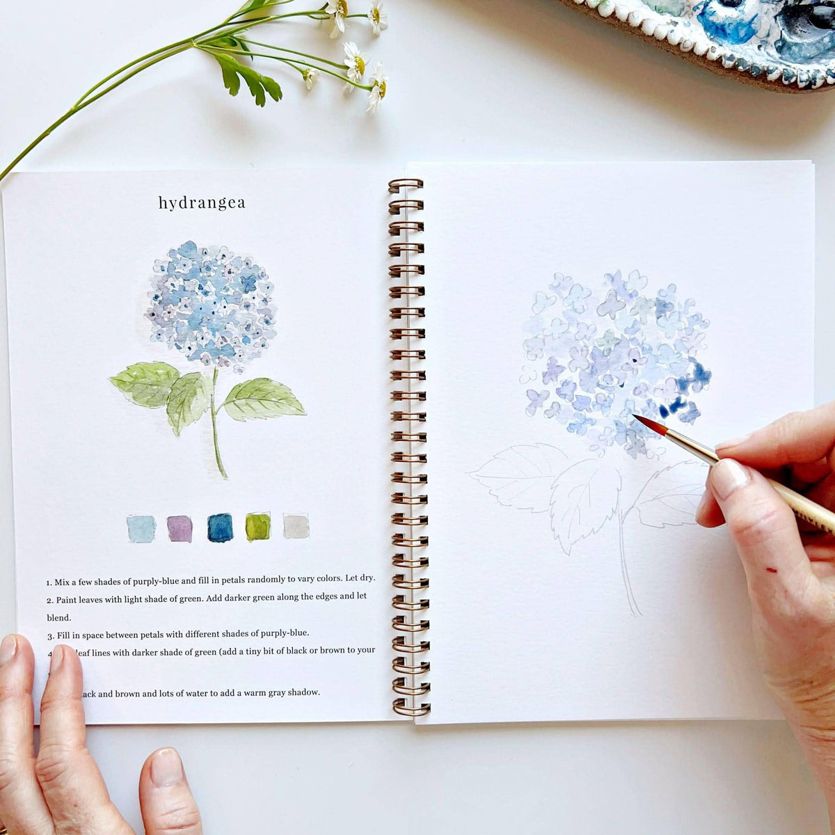 Cahier aquarelle fleurs Emily Lex Studio