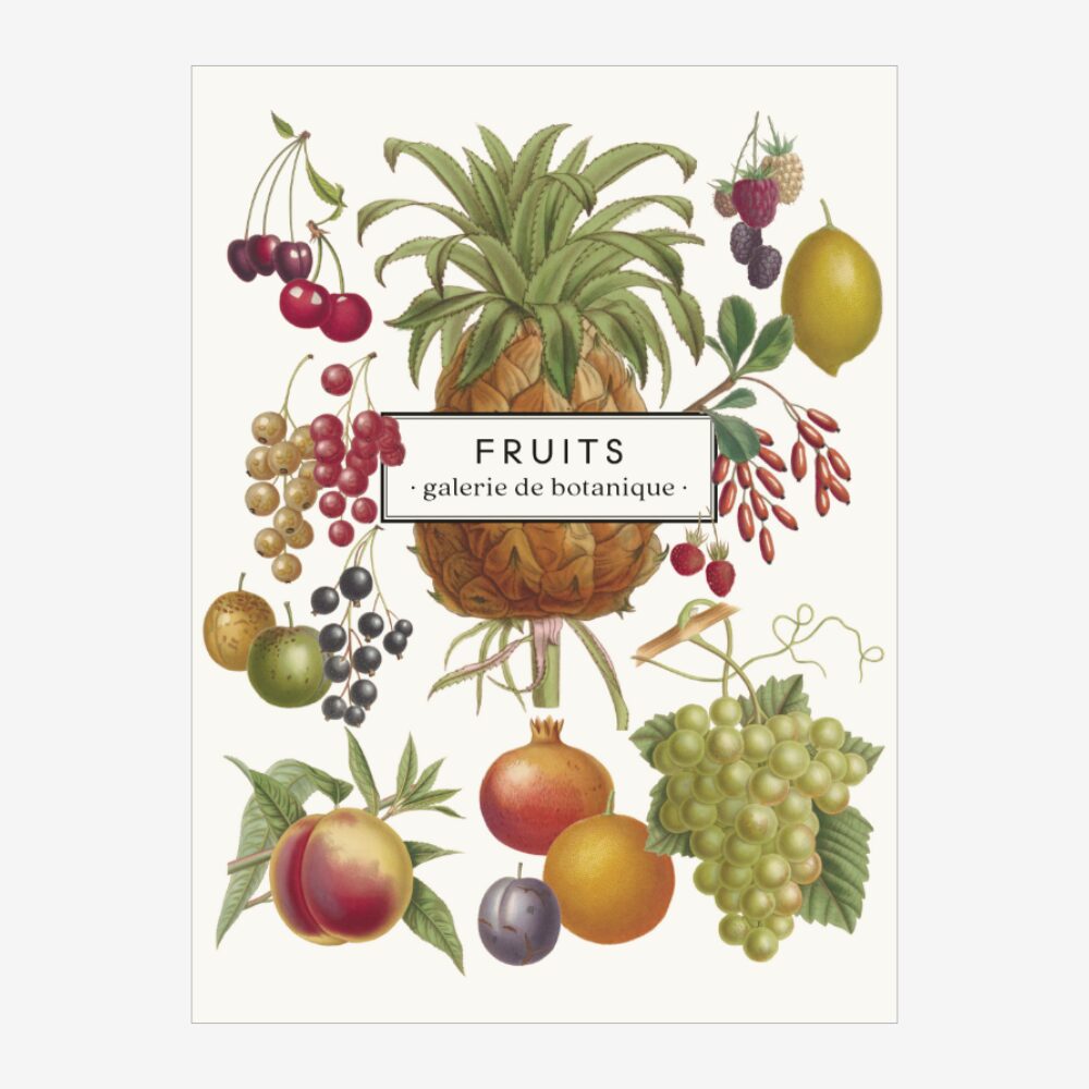 Carnet «Fruits» - Les Jolies planches