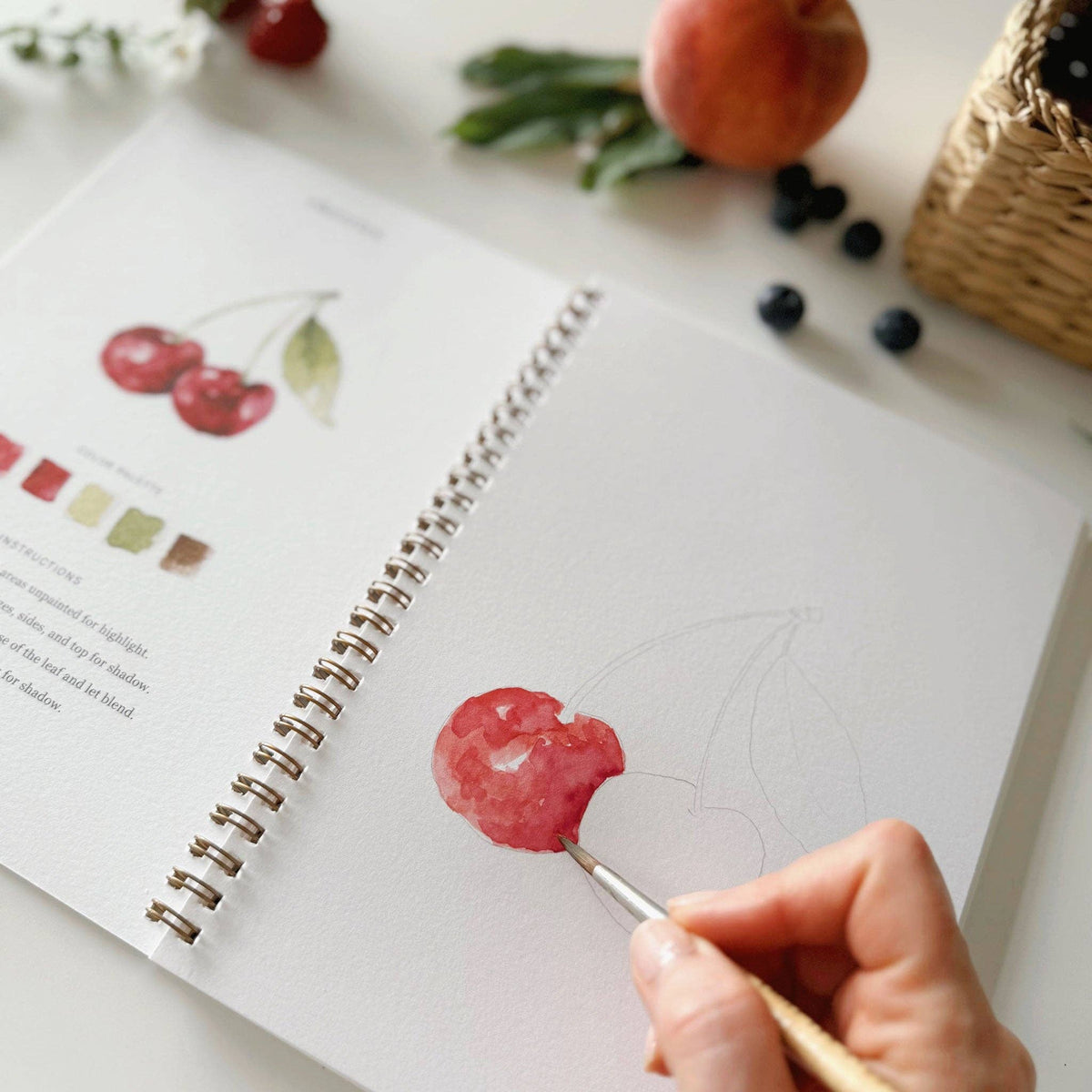Cahier d'aquarelle fruits Emily lex studio