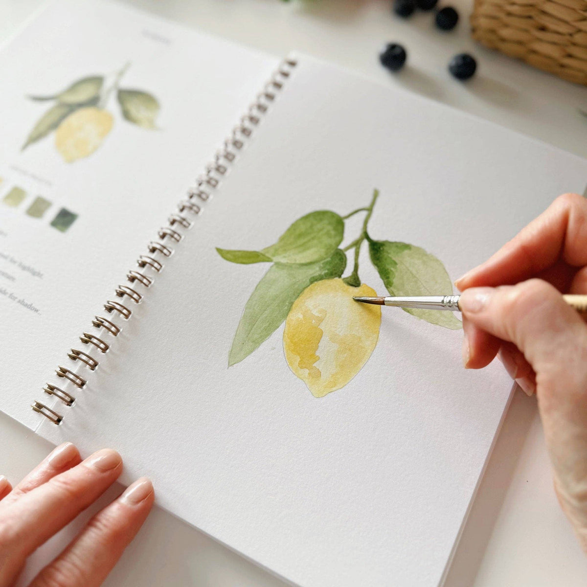 Cahier d'aquarelle fruits Emily lex studio