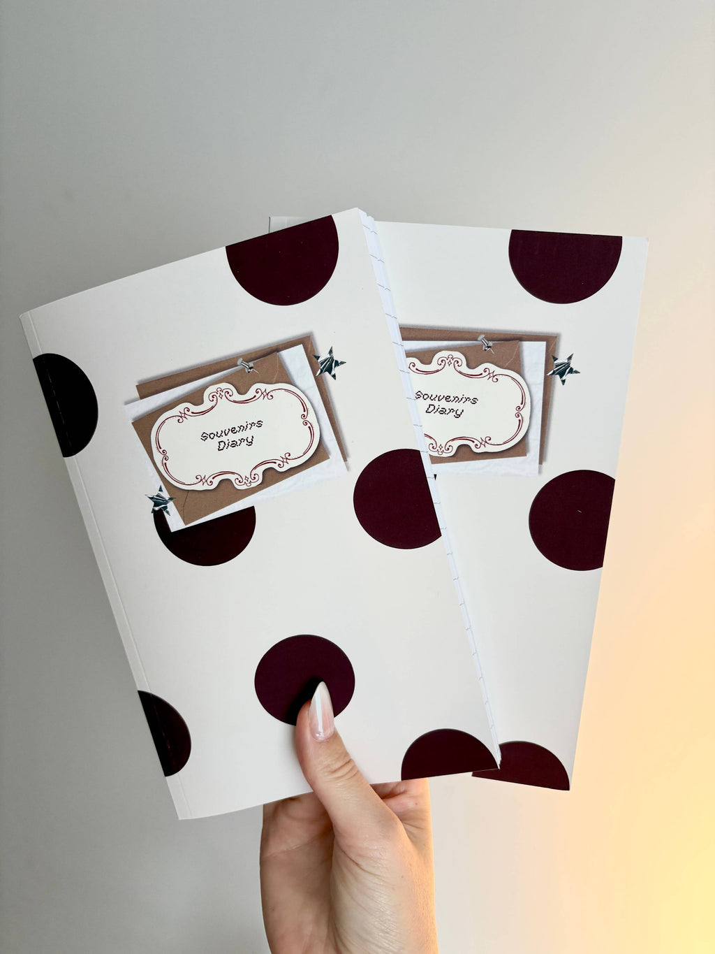 Souvenirs Diary and stickers