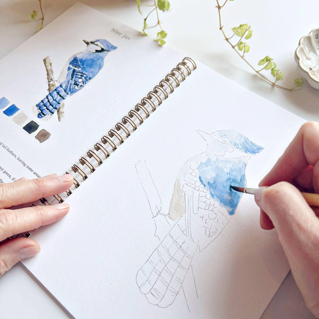 Cahier d'aquarelle oiseaux Emily Lex Studio