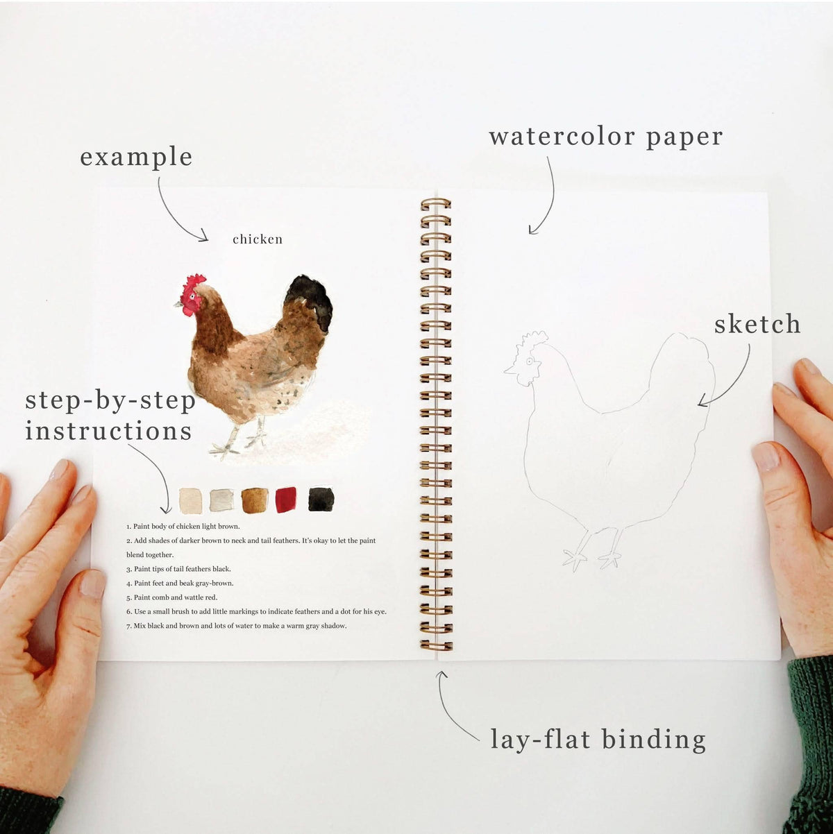 Carnet d'aquarelle animaux Emily Lex Studio