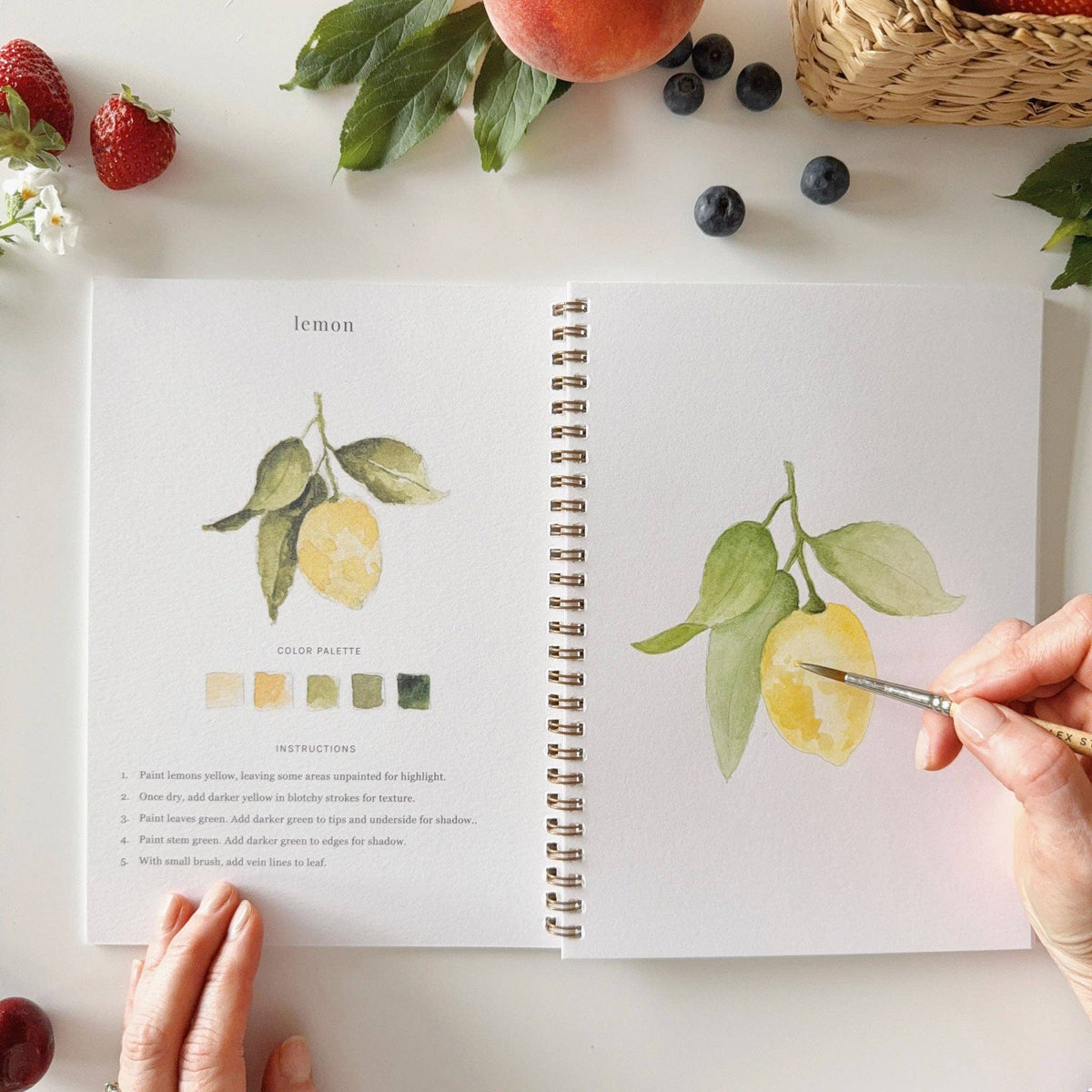 Cahier d'aquarelle fruits Emily lex studio
