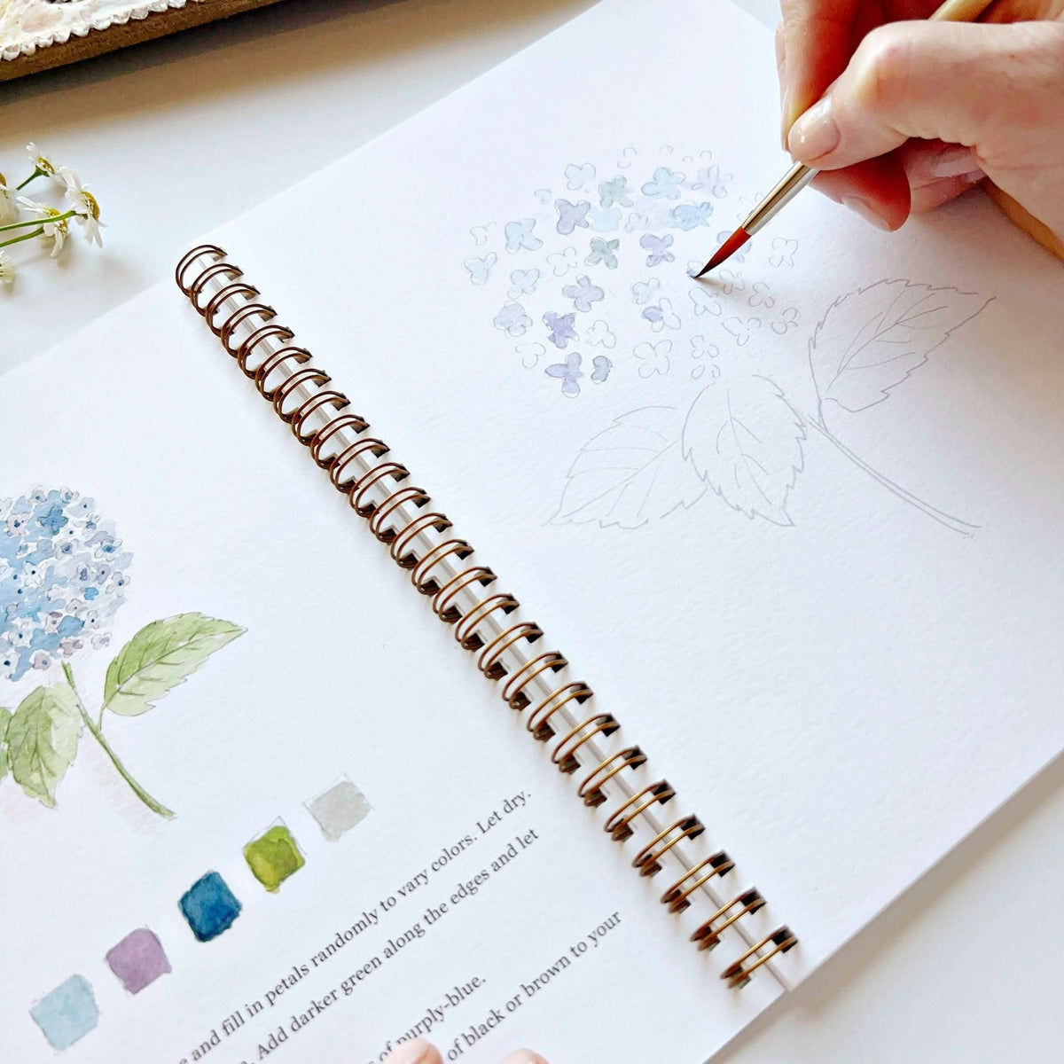 Cahier aquarelle fleurs Emily Lex Studio