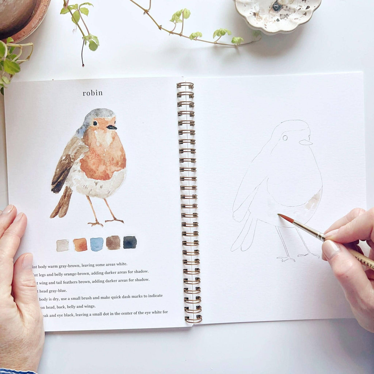 Cahier d'aquarelle oiseaux Emily Lex Studio