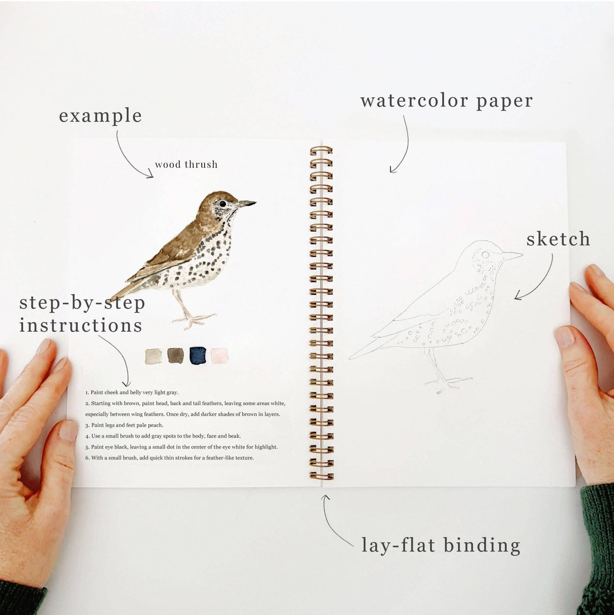 Cahier d'aquarelle oiseaux Emily Lex Studio