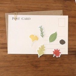 Pack de 21 stickers - SEAL Leaves - Feuilles – Suatelier