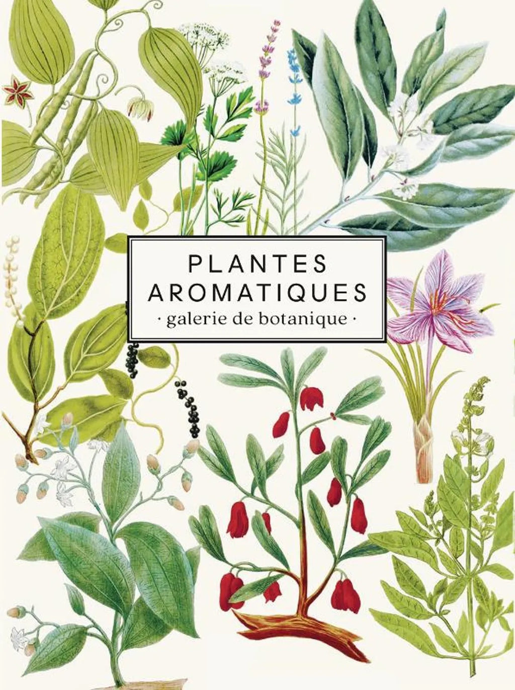 Carnet «Plantes aromatiques» - Les Jolies planches