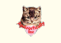 Sticker chat grincheux « Apologetically me » — Shellflower
