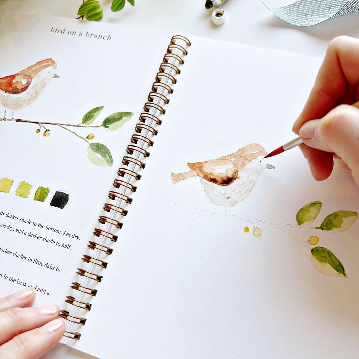 Carnet d'aquarelle animaux Emily Lex Studio