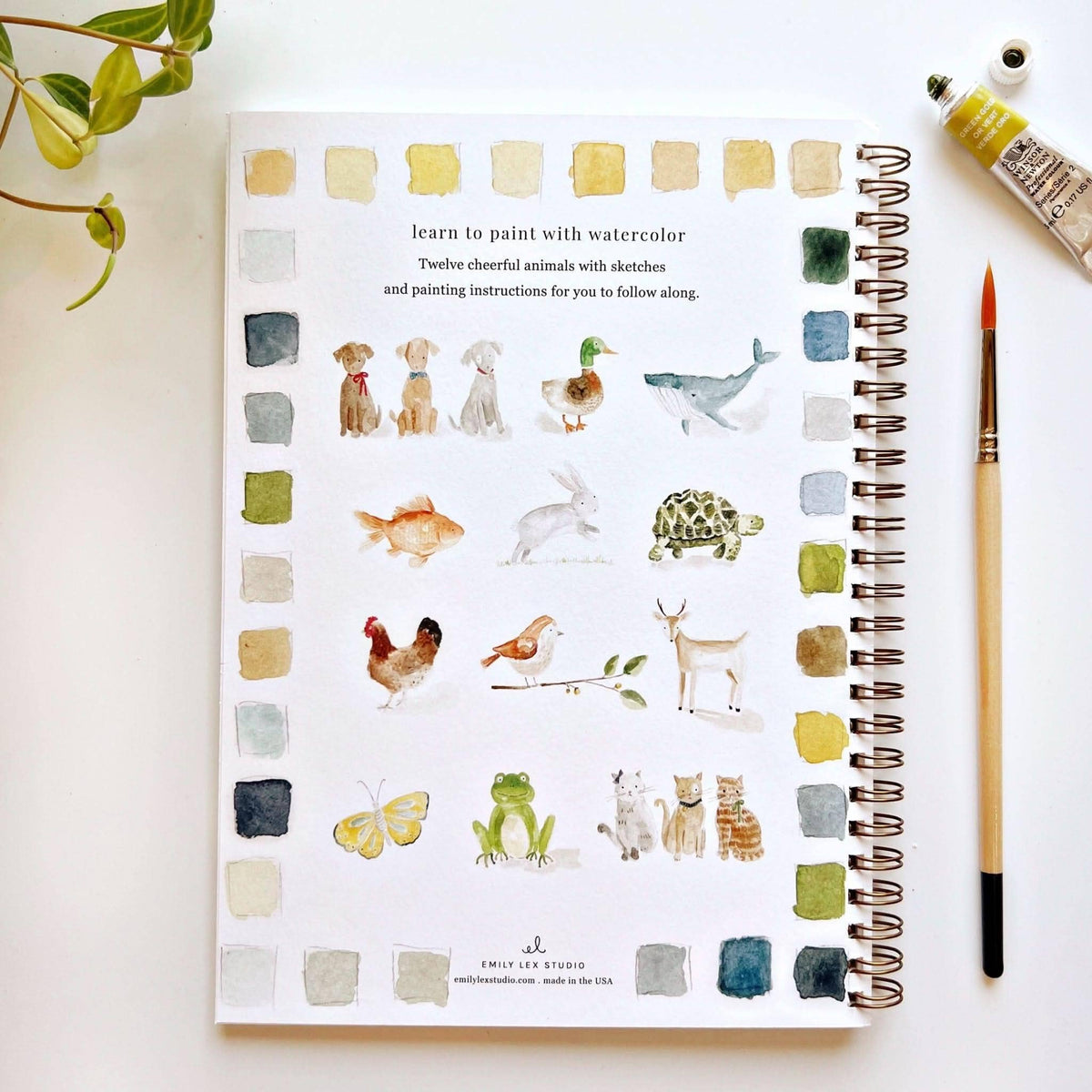 Carnet d'aquarelle animaux Emily Lex Studio