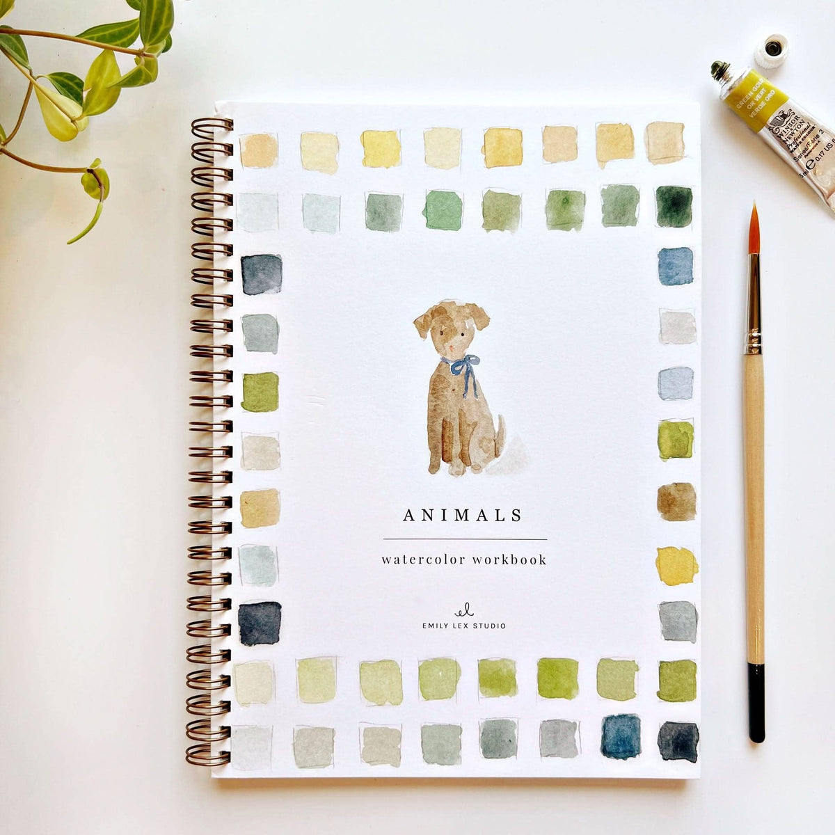 Carnet d'aquarelle animaux Emily Lex Studio