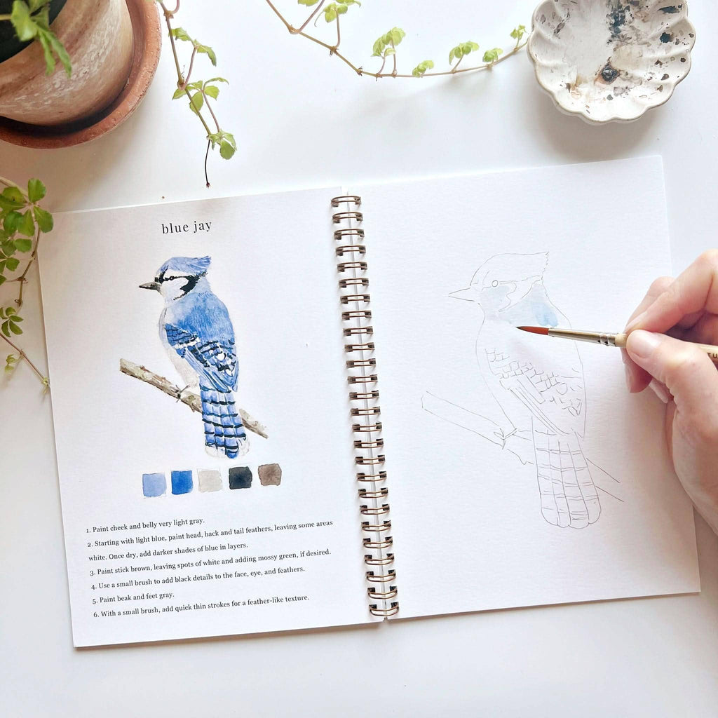 Cahier d'aquarelle oiseaux Emily Lex Studio
