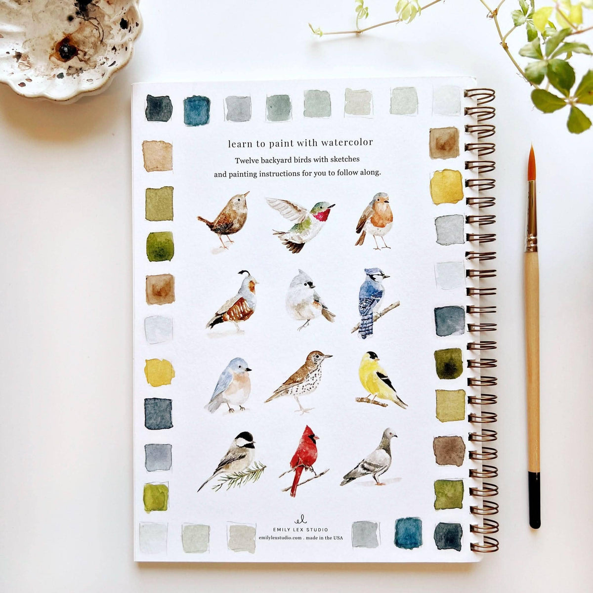 Cahier d'aquarelle oiseaux Emily Lex Studio