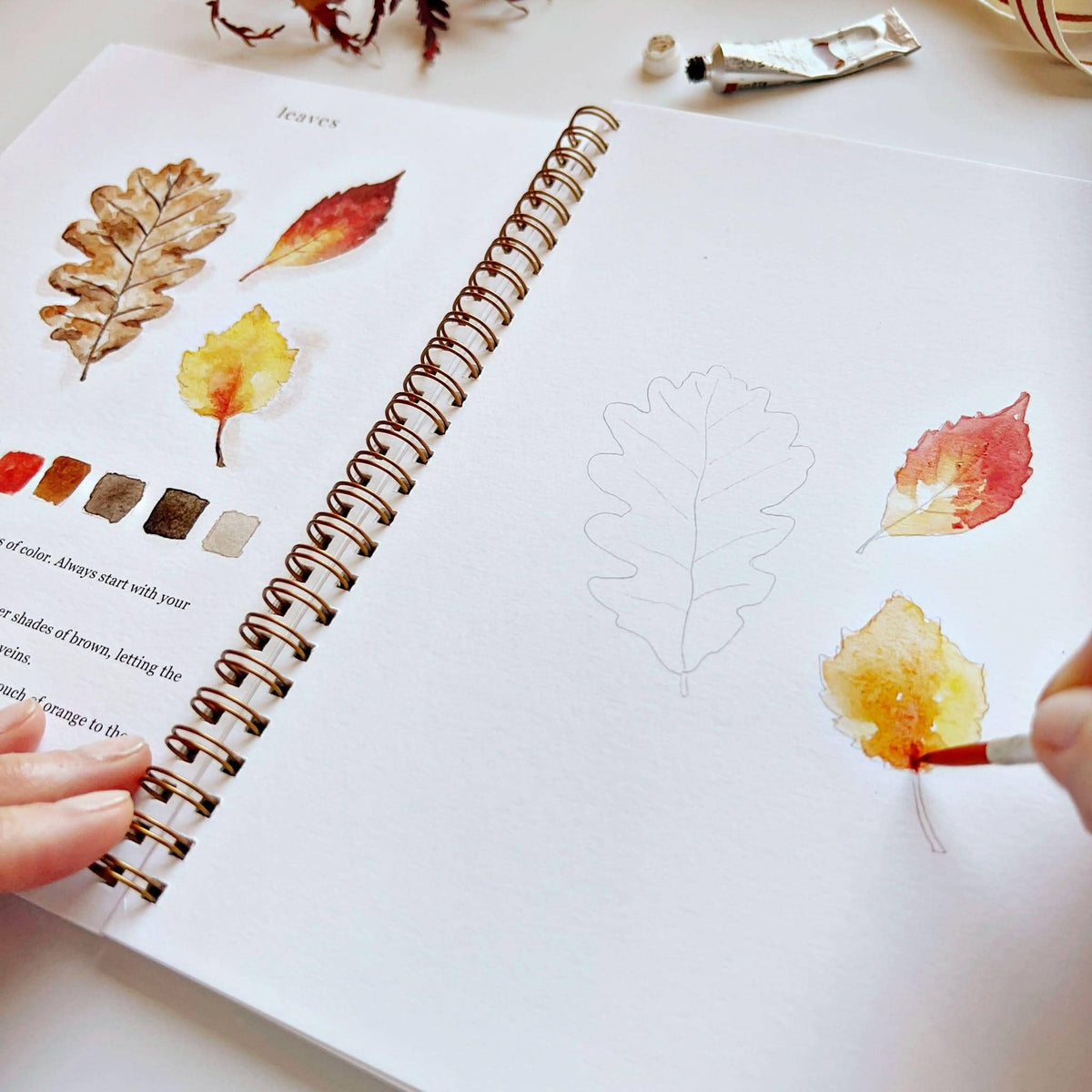 Cahier d'aquarelle d'automne - Emily Lex Studio
