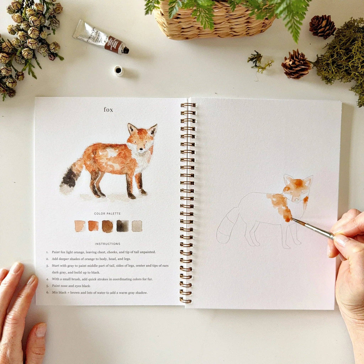 Cahier d'aquarelle forêt Emily Lex Studio