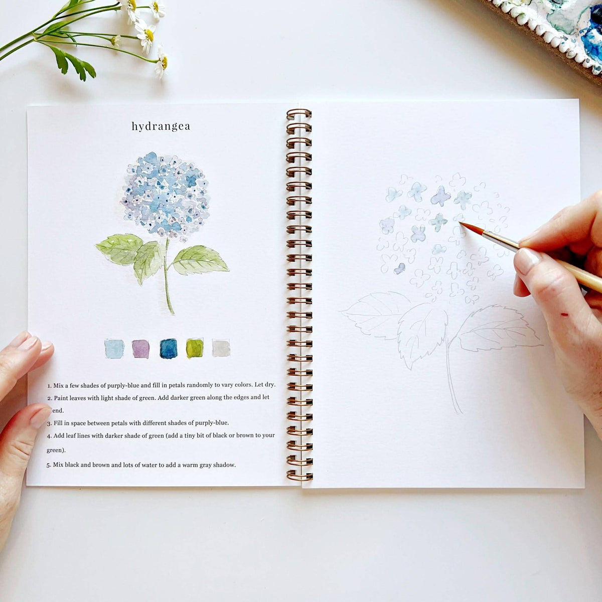 Cahier aquarelle fleurs Emily Lex Studio