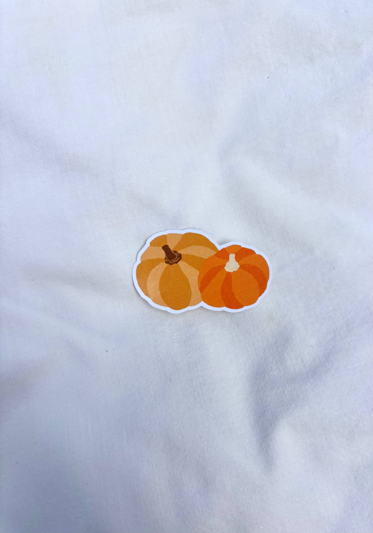 Sticker Citrouilles — Florence Papeterie