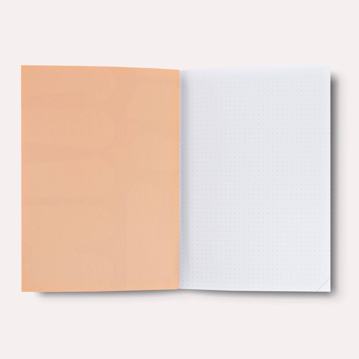 Carnet Hinoki A5 — Reliure à Plat · The Completist